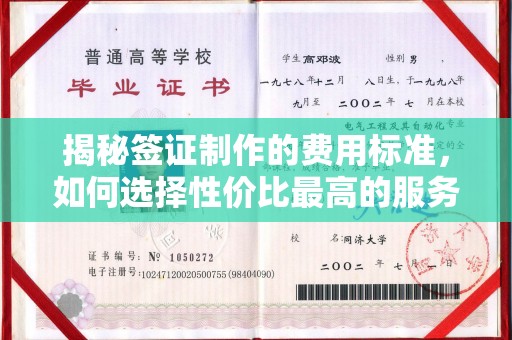 哈巴河揭秘签证制作的费用标准，如何选择性价比最高的服务？