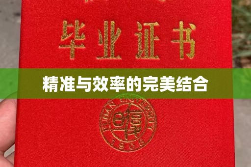 哈巴河精准与效率的完美结合